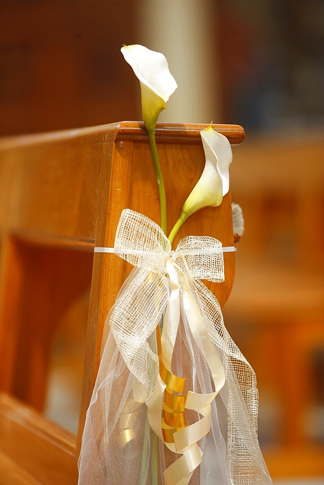 Wedding flower decoration, Xewkija, Malta, Europe