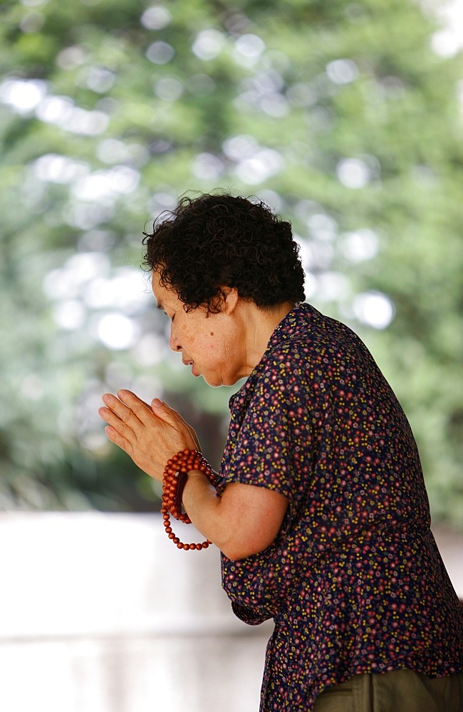 Devotion at Bongeunsa temple, Seoul, South Korea, Asia