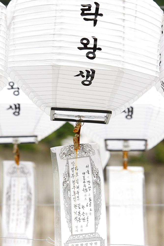 White lanterns honoring the dead, Seoul, South Korea, Asia