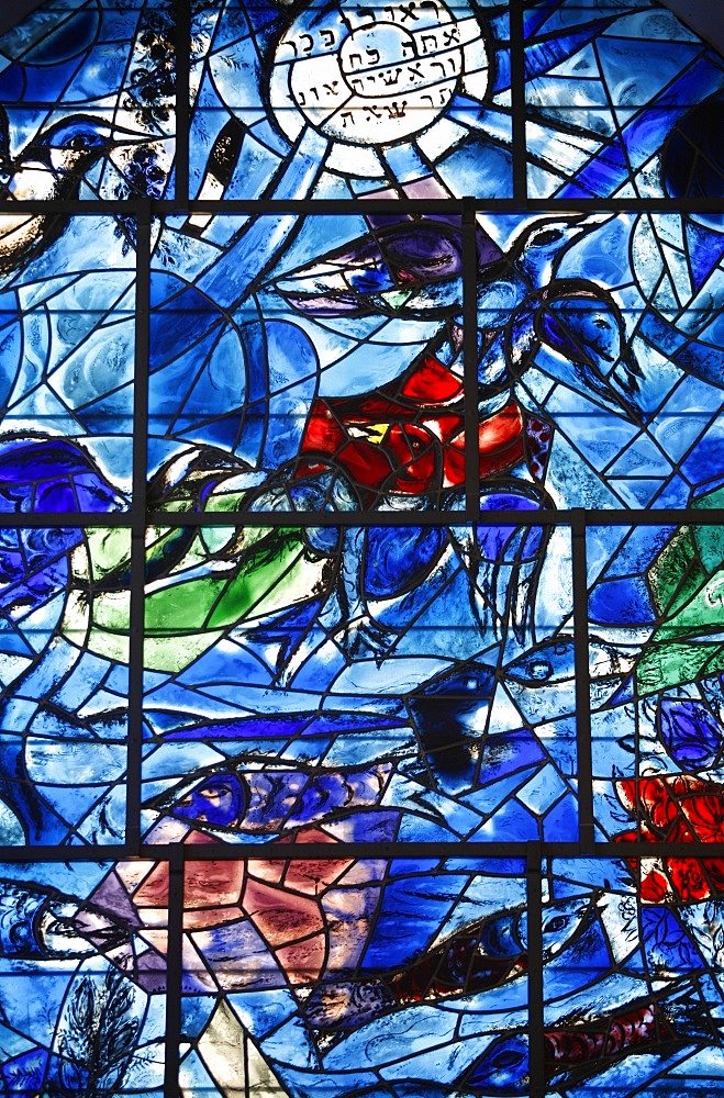 Stained glass window in the Synagogue of the Hadassah hospital showing the Tribes of Israel, the Reuben, Ein Karem, Israel, Middle East