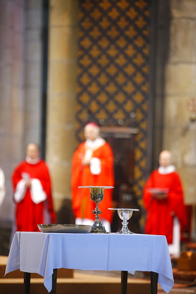 Catholic Mass in Reims cathedral, Reims, Marne, France, Europe