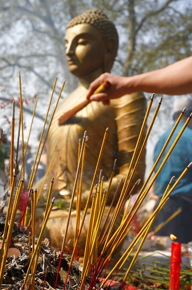 Buddhist ceremony at the Vincennes Buddhist Pagoda, Paris, France, Europe