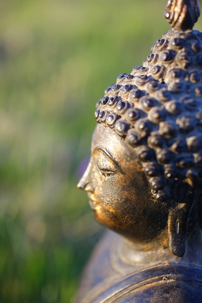 Thai Buddha, Haute Savoie, France, Europe