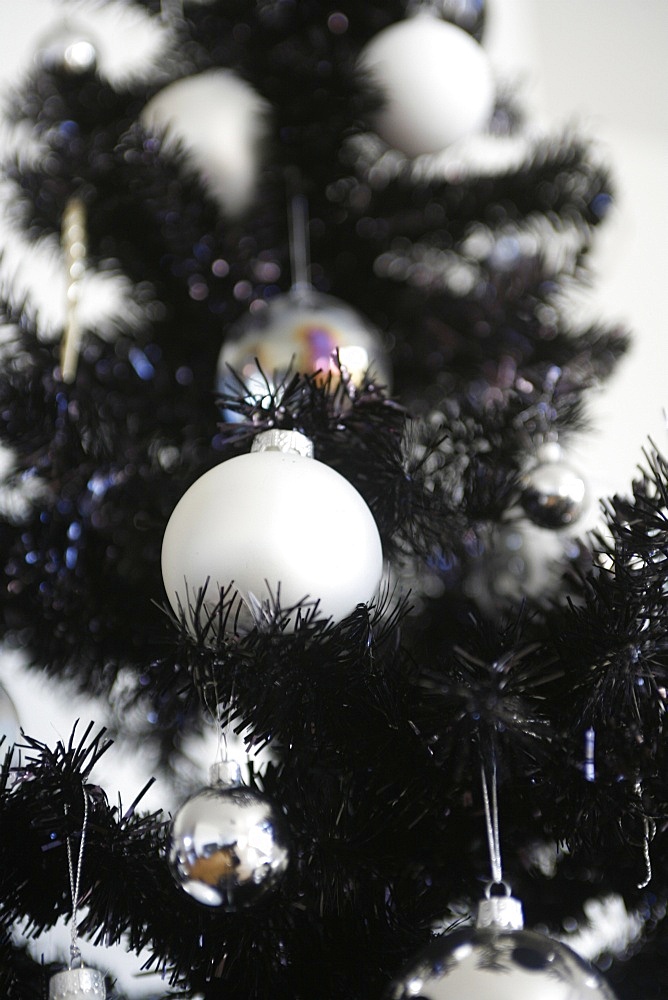 Christmas tree, Paris, France, Europe