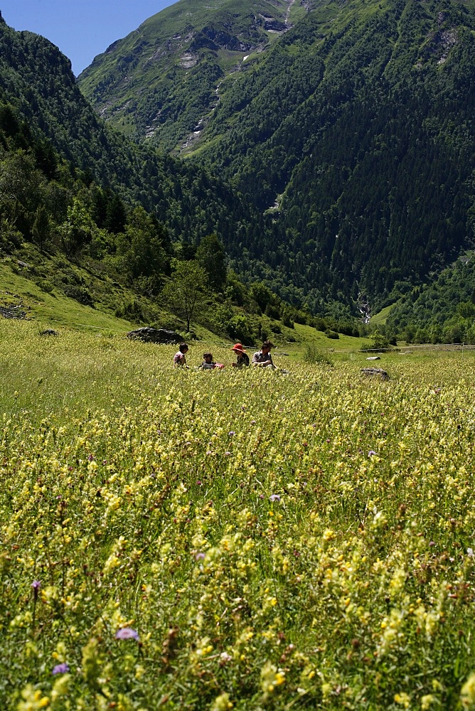 Family picnic, Hautes Pyrenees, France, Europe