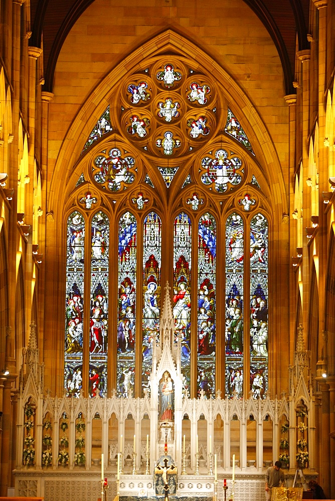 Central nave and an aisle on either side, St. Mary's Cathedral, Sydney, New South Wales, Australia, Pacific