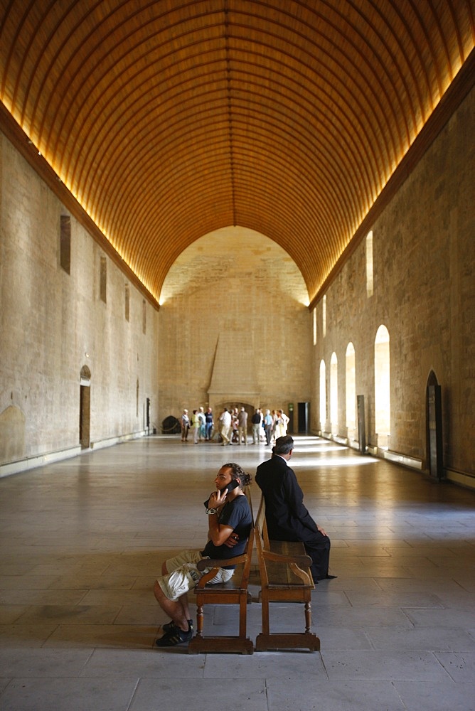 Consistory, Palais des Papes, Avignon, Vaucluse, France, Europe