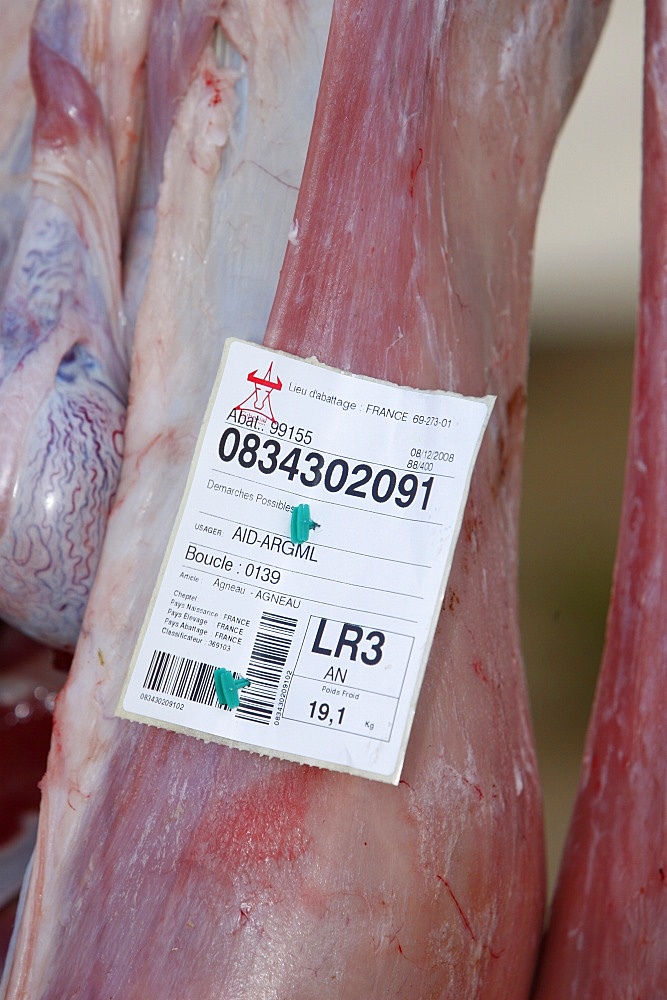 Halal meat for the Muslim Eid-el-Kebir festival, Lyon, Rhone, France, Europe