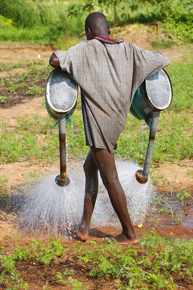 Farmer watering crops, near Lome, Togo, West Africa, Africa