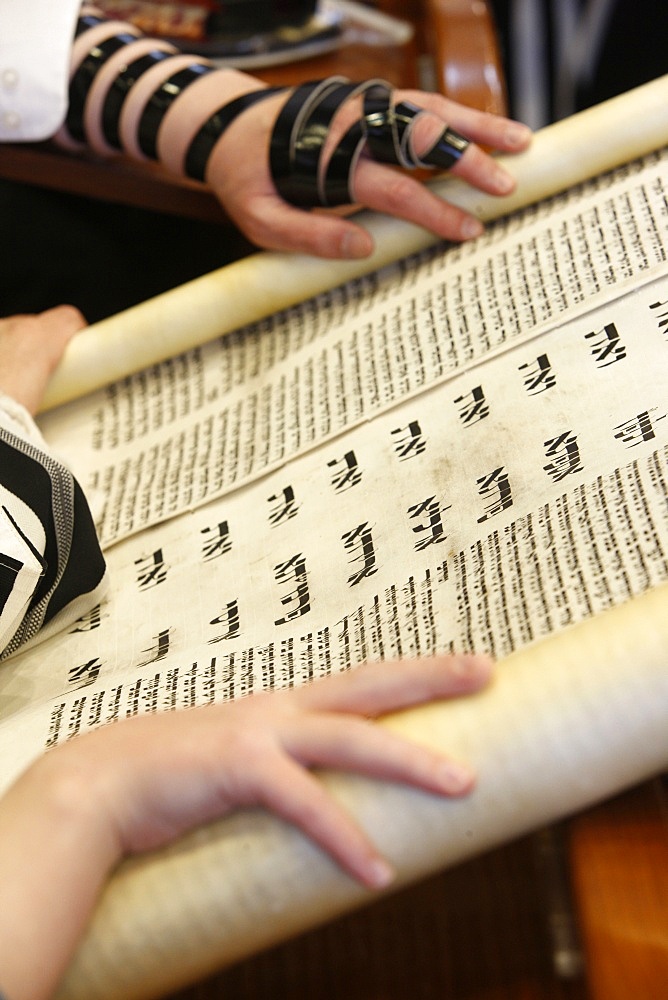 Purim celebration in the Belz Synagogue, Jerusalem, Israel, Middle East