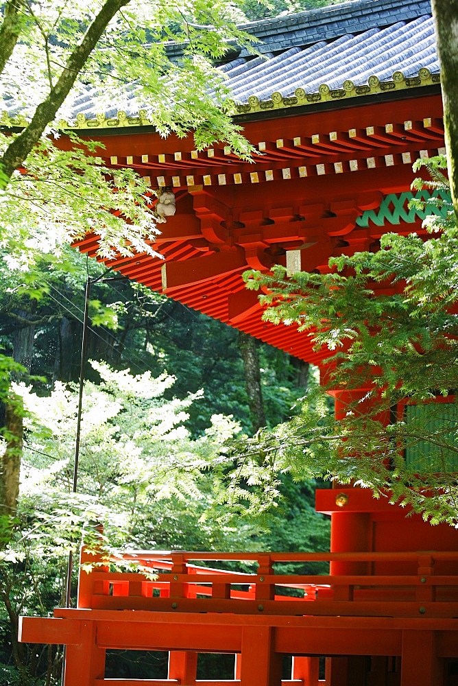 Toshogu shrine, Nikko, Japan, Asia