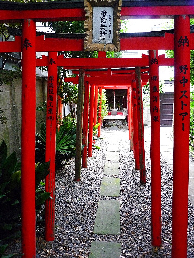 Torii shrine gates, Kyoto, Japan, Asia