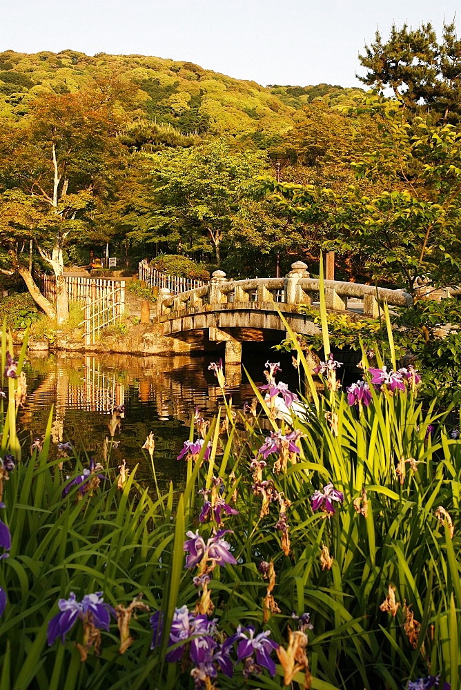 Mayurama park garden, Kyoto, Japan, Asia