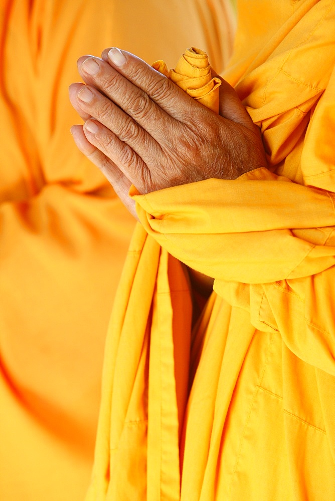 Praying Buddhist monk, Thiais, Vale de Marne, France, Europe