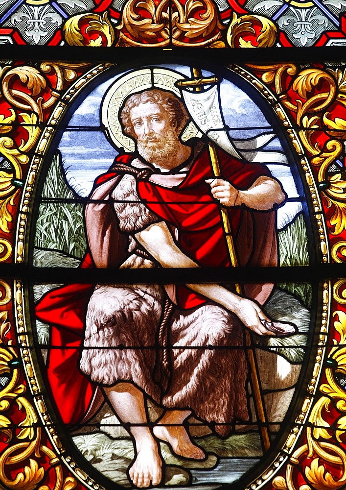 Stained glass of John the Baptist, Saint-Louis cathedral, Versailles, France, Europe