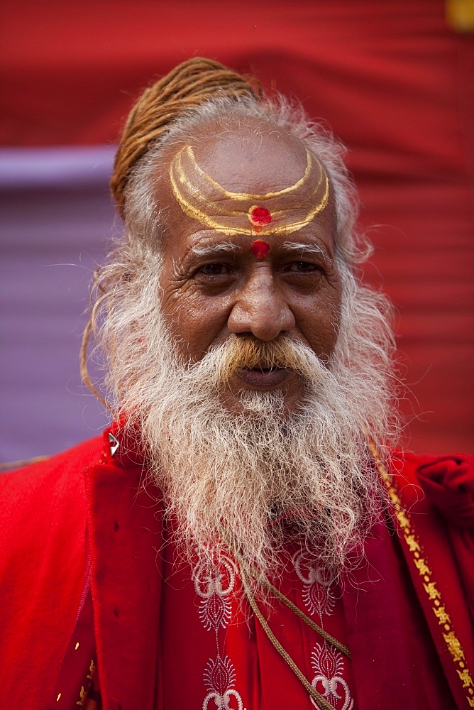 Sadhu at the Kumbh Mela in February 2010, Haridwar, Uttar Pradesh, India, Asia