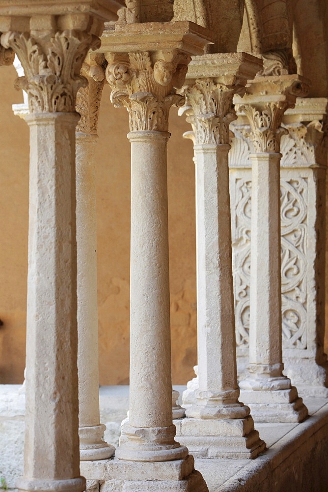 The Cloister of Saint Sauveur cathedral, Aix en Provence, Bouches du Rhone, France, Europe