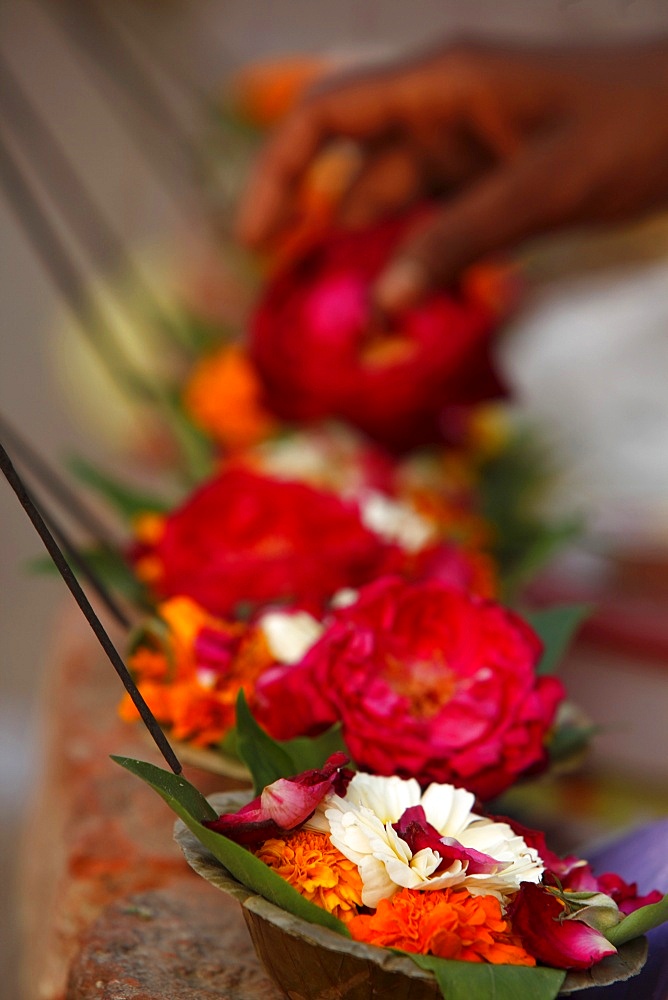 Diyas (floral floats with incense), Rishikesh, Uttarakhand, India, Asia