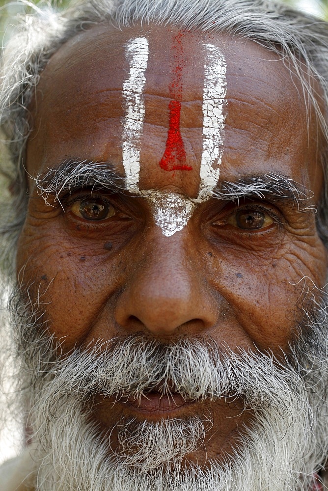 Hindu pilgrim from Jharkand wearing the trident-shaped mark worn by the devotees of Vishnu, Rishikesh, Uttarakhand, India, Asia