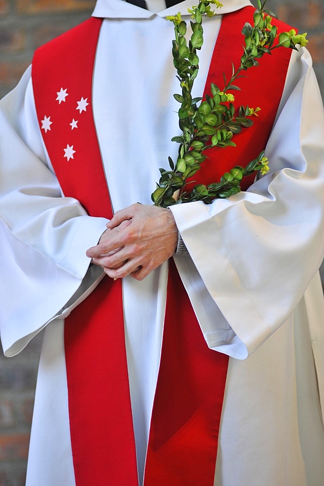 Palm Sunday celebration, Paris, France, Europe