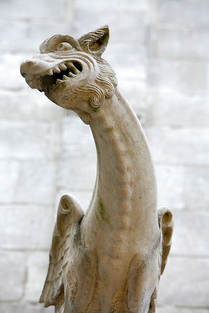 St. Gatien Cathedral gargoyle, Tours, Indre-et-Loire, France, Europe