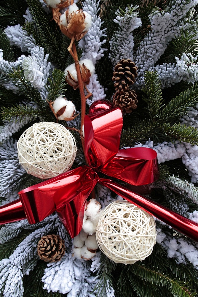 Christmas tree decorated, Haute Savoie, France, Europe