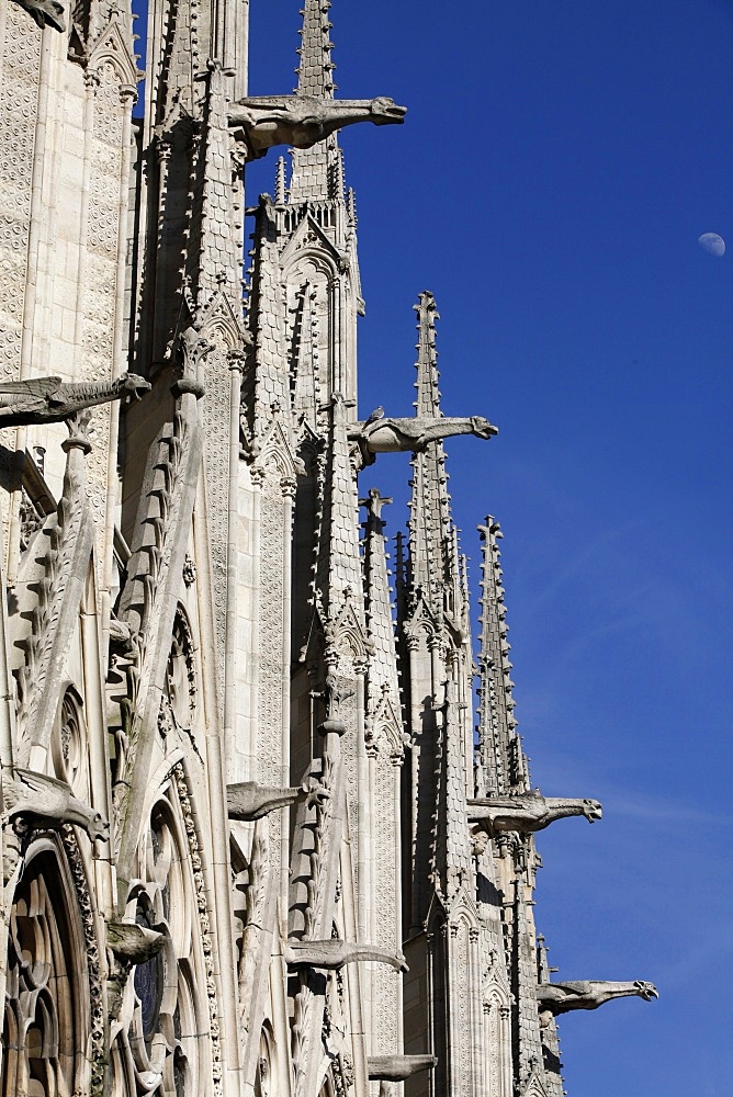 Gargoyles on Notre Dame Cathedral, Paris, France, Europe