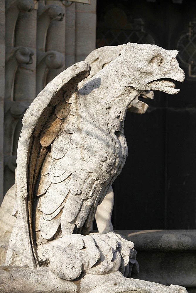 Gargoyle, Notre Dame Cathedral, Paris, France, Europe