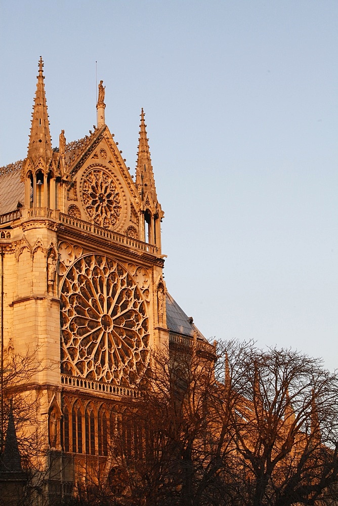 Rose window on South facade, Notre Dame Cathedral, Paris, France, Europe