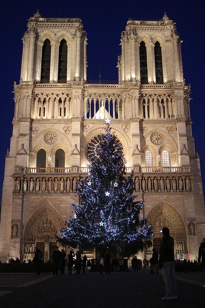 Christmas tree, Notre-Dame de Paris Cathedral, Paris, France, Europe