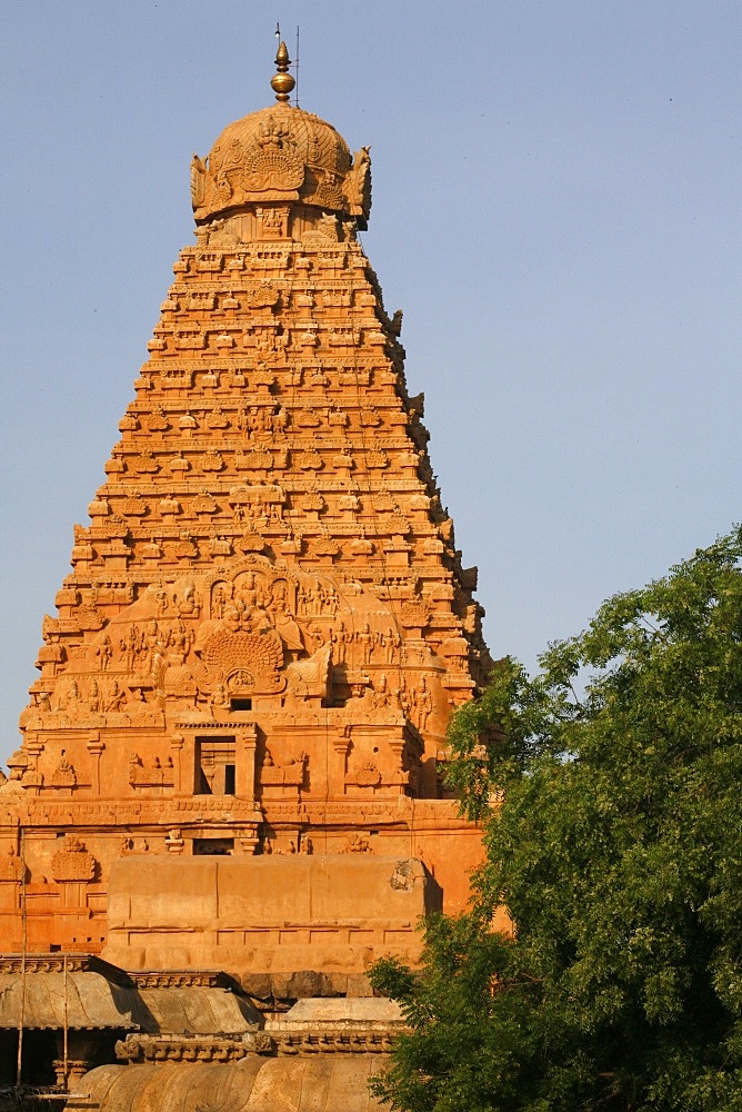 Brihadishvara temple (The Big Temple), Thanjavur (Tanjore), UNESCO World Heritage Site, Tamil Nadu, India, Asia