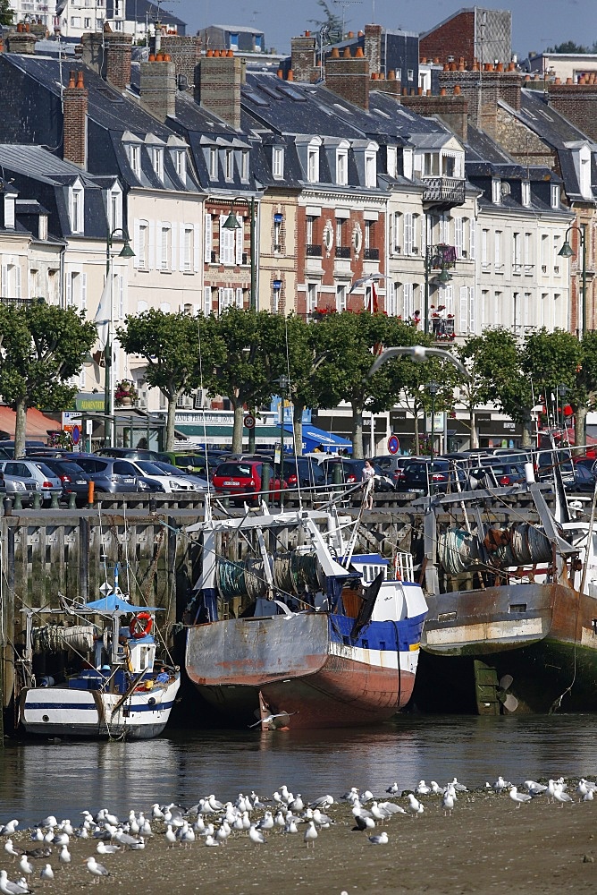 Fishing port of Trouville-sur-Mer, Calvados, Normandy, France, Europe