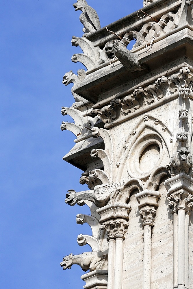 Gargoyles, Notre Dame de Paris cathedral, Paris, France, Europe