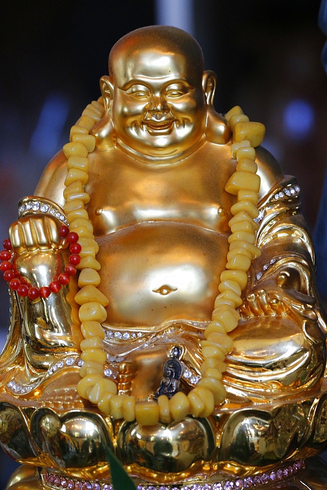 Happy Buddha statue, Tu An Buddhist Temple, Saint-Pierre-en-Faucigny, Haute Savoie, France, Europe