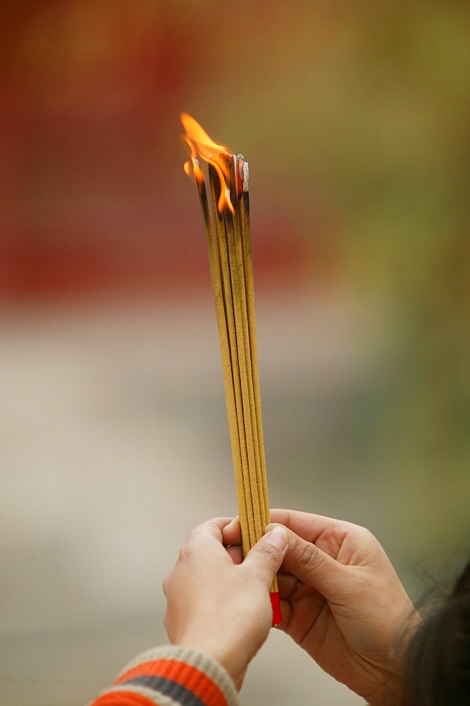 Lama Temple, Beijing, China, Asia