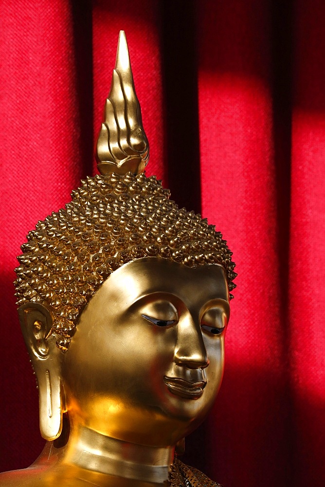 Buddha statue, Wat Velouvanaram, Bussy St. George, Seine et Marne, France, Europe