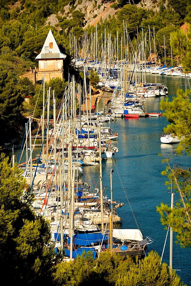 Port-Miou marina, Cassis, Bouches du Rhone, Provence, France, Europe