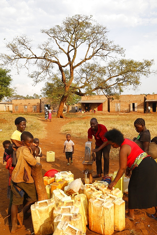 Water chore in a Ugandan village, Bweyale, Uganda, Africa