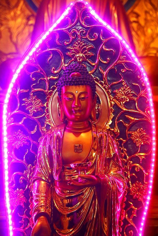 Buddha statue with neon light, Chua Thien Hung Buddhist Pagoda, Ho Chi Minh City, Vietnam, Indochina, Southeast Asia, Asia