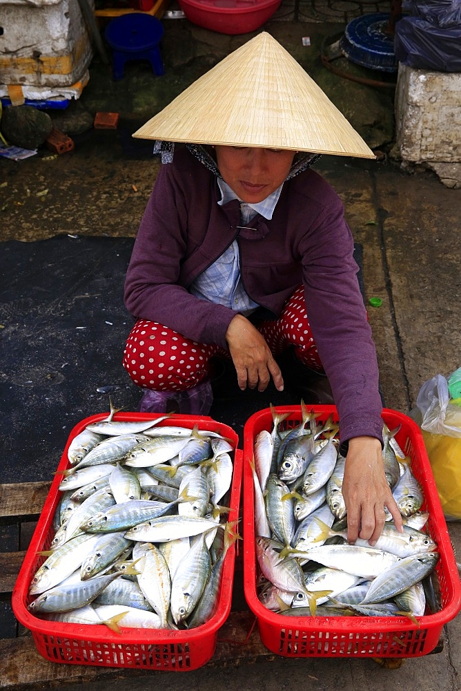 Woman selling fresh fish, Morning market in Duong Dong town, Phu Quoc, Vietnam, Indochina, Southeast Asia, Asia