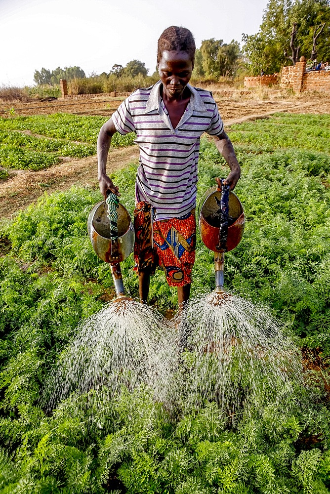 Woman watering a vegetable garden in Loumbila, Burkina Faso, West Africa, Africa