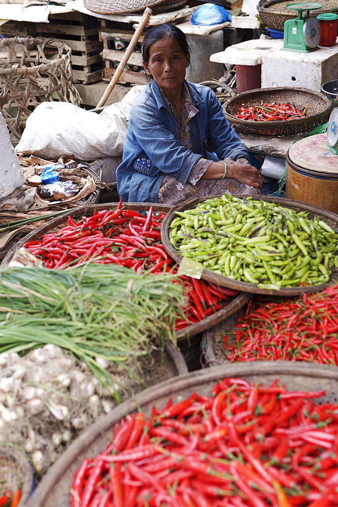 Trader selling chillies at the Dong Ba Market, Hue, Vietnam,, Indochina, Southeast Asia, Asia