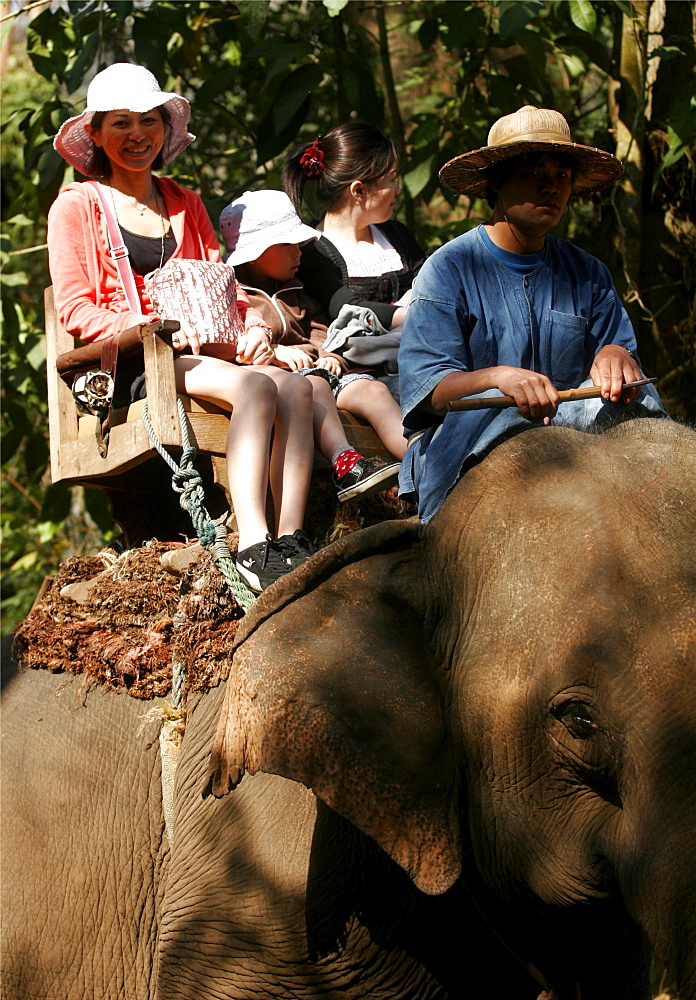 Riding demonstration at the Elephant training center, close to Chiang Mai, Thailand, Southeast Asia, Asia