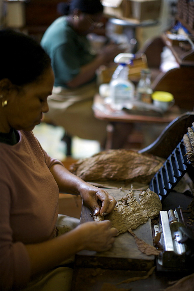 The small cigar factory of the Graycliff Hotel in Nassau, Bahamas, West Indies, Caribbean, Central America