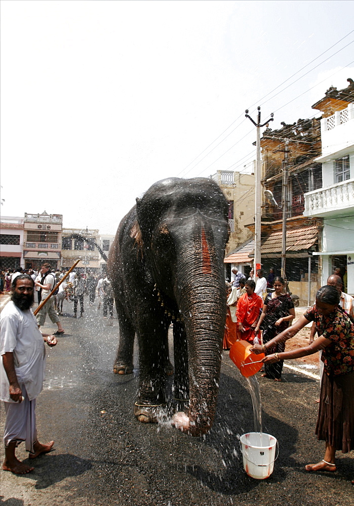 Preparing for a Tamil procession in Chennai, Tamil Nadu, India, Asia