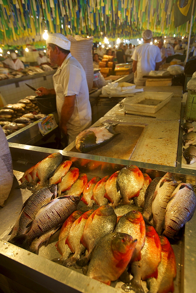 Piranhas at the central market of Manaus, Brazil, South America