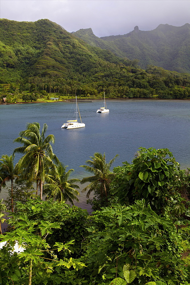 A cruise catamaran in the bay of Hamanee in Tahaa, French Polynesia, Pacific Islands, Pacific