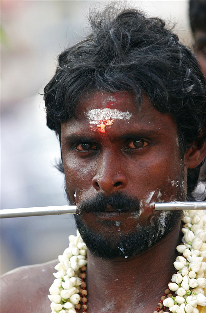 A penitent suffers to prove his faith during a Tamil religious procession, Chennai, Tamil Nadu, India, Asia