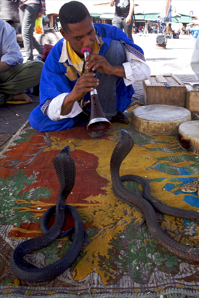 Snake charmer on Djemaa El Fna square, Marrakech, Morocco, North Africa, Africa