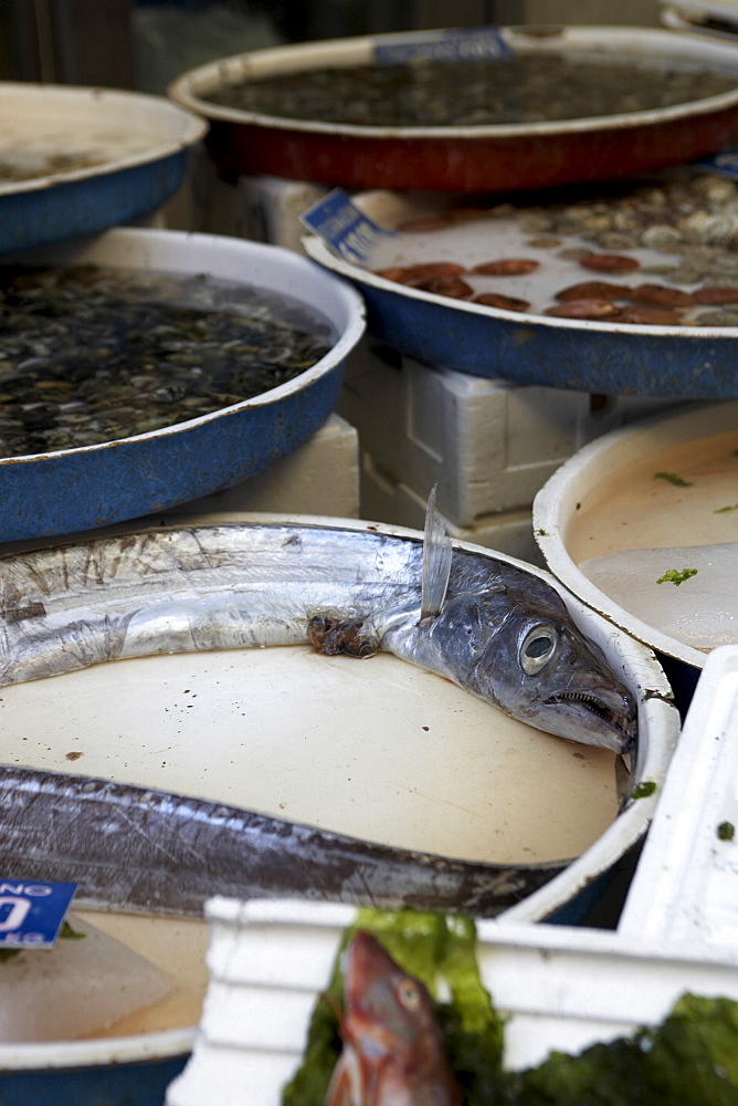 Fishmarket, Naples, Campania, Italy, Europe